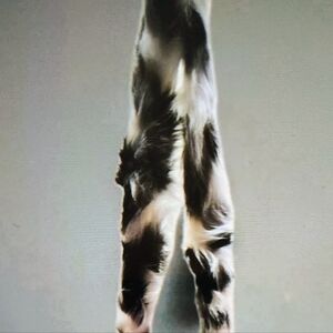 Faux Fur Black and White Heart-Shaped Bag